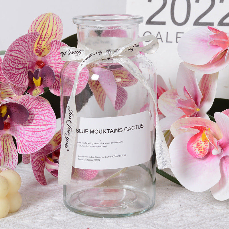 Decorative Eco-friendly Glass Vase