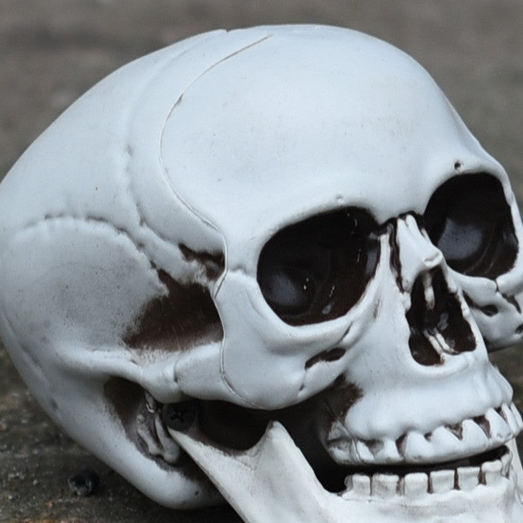 Decorative Skull Phone Stand Stornfield