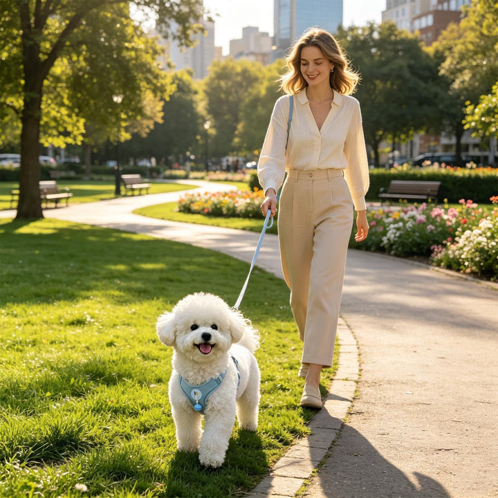 Pet harness with leash Stornfield