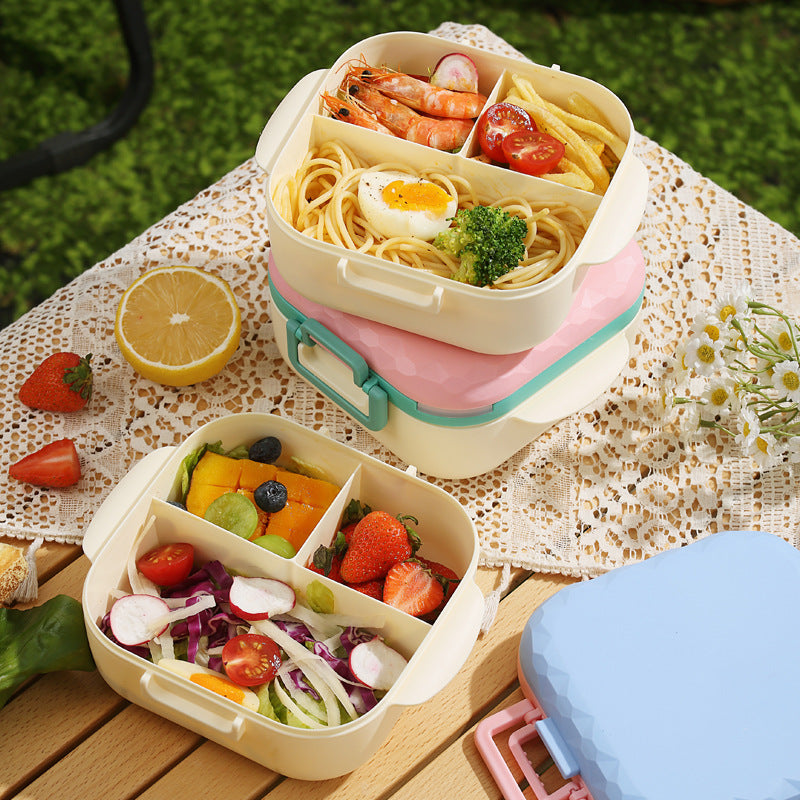 Stylish Multi-Compartment Lunch Box