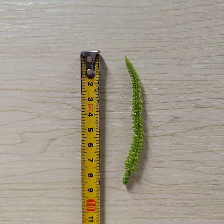 Decorative Green Fern Stem