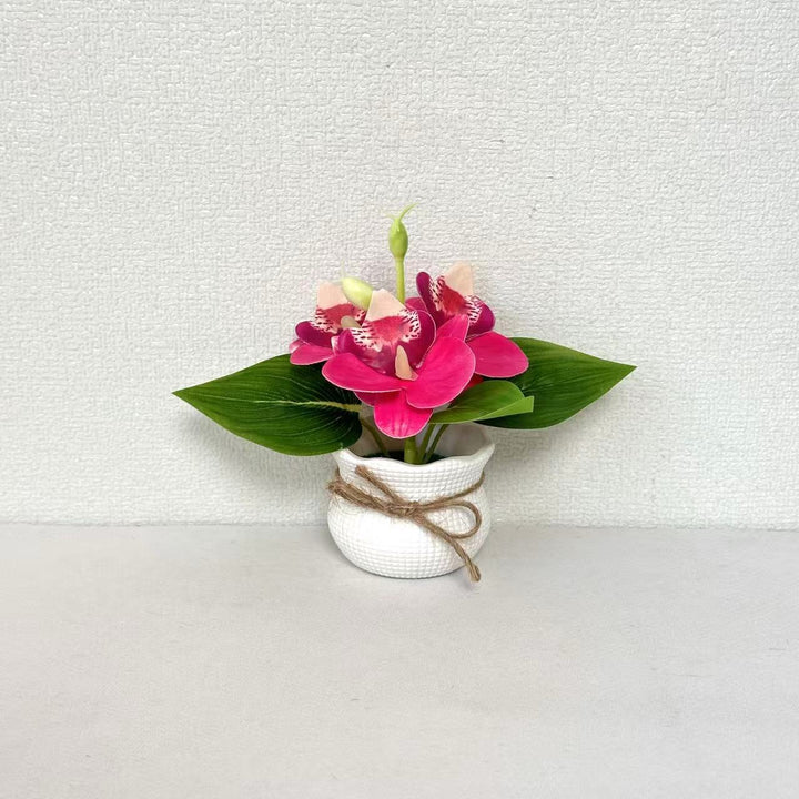 Decorative Miniature Orchid Arrangement