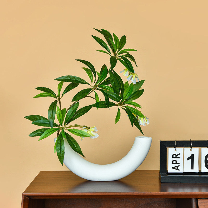 Artistic Curved Vase for Home Decor Display