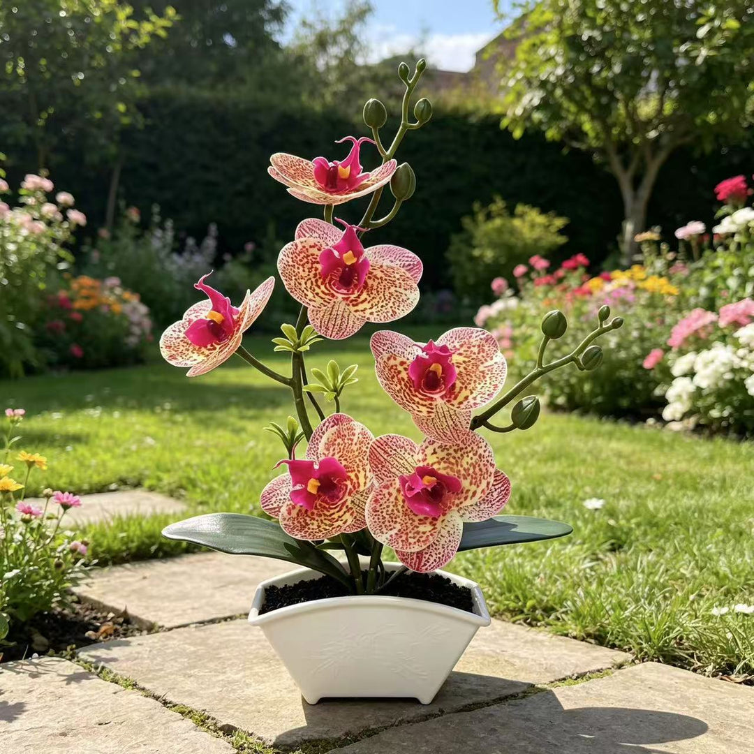 Realistic Decorative Orchid Plant Arrangement