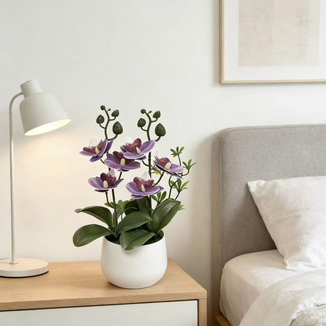 Orchid Floral Arrangement