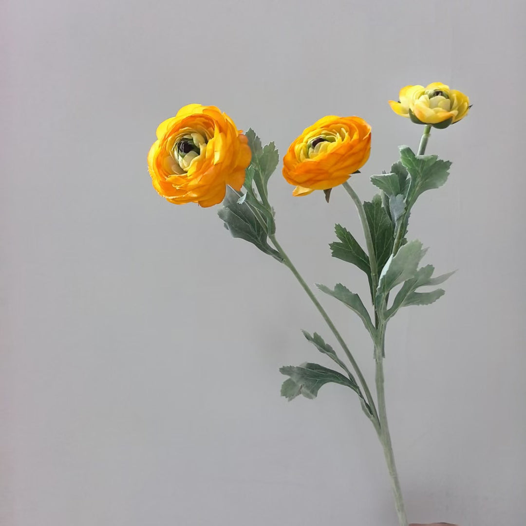 Realistic Ranunculus Floral Stem