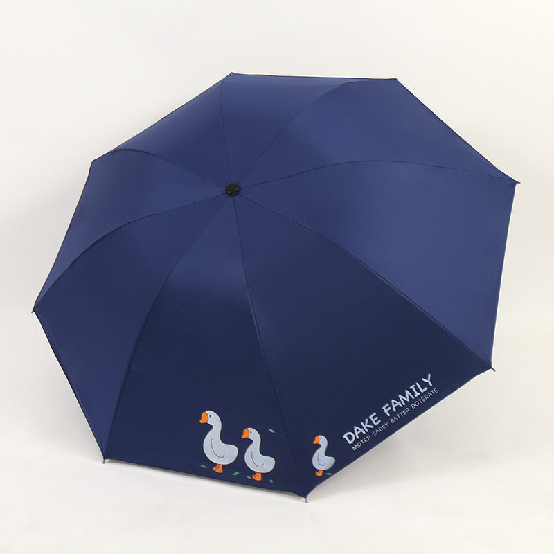 Ladies Umbrella Stornfield