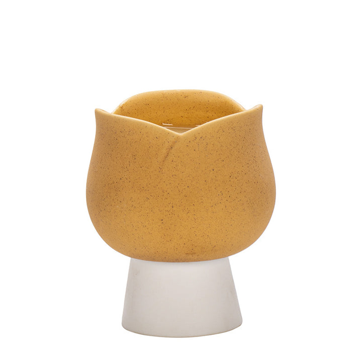 Rustic Ceramic Planter Stornfeild