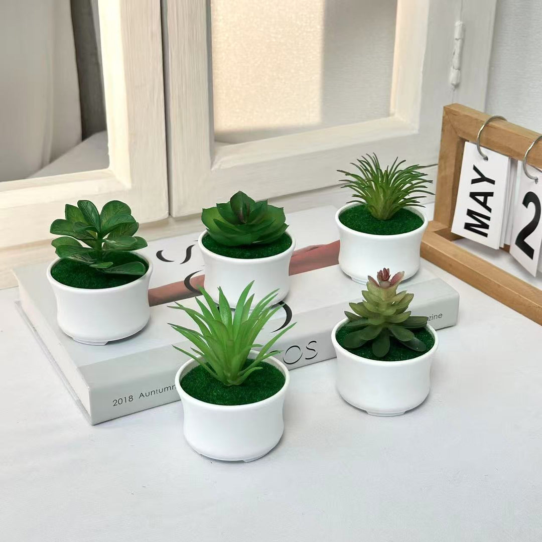 Lifelike Succulent Plant Arrangement