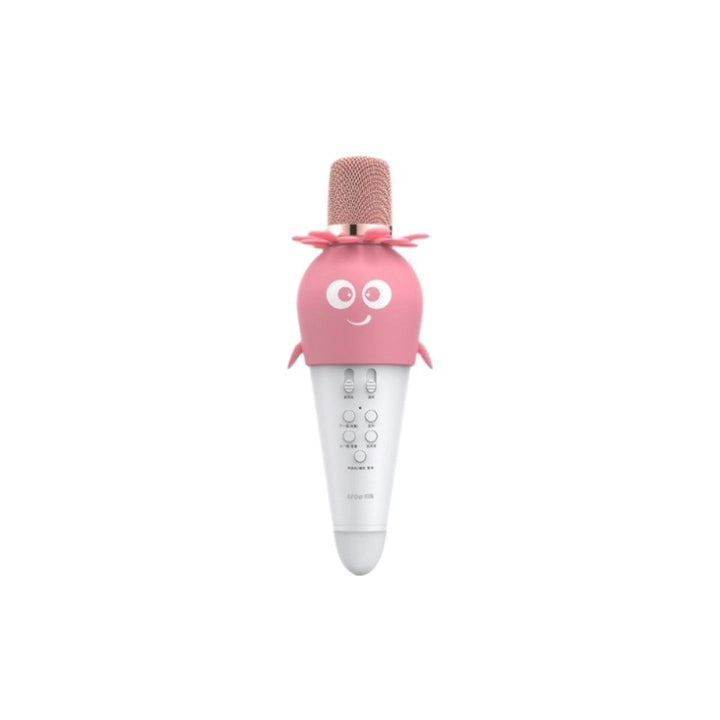 Children's Fun Karaoke Microphone Stornfield