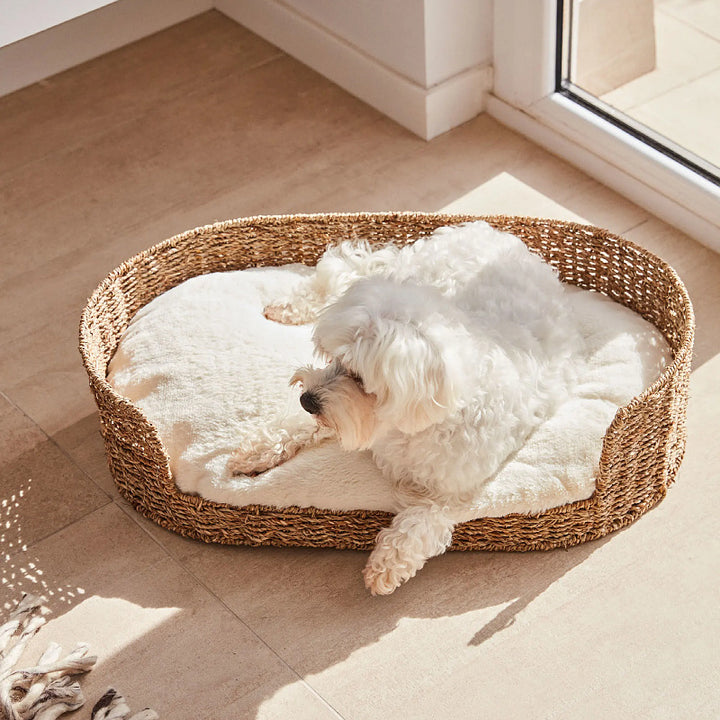 Cozy and stylish dog bed made of braided material Stornfield