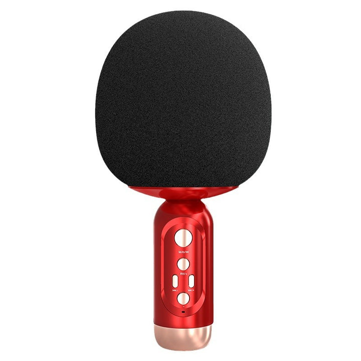 Portable Karaoke Microphone Stornfield