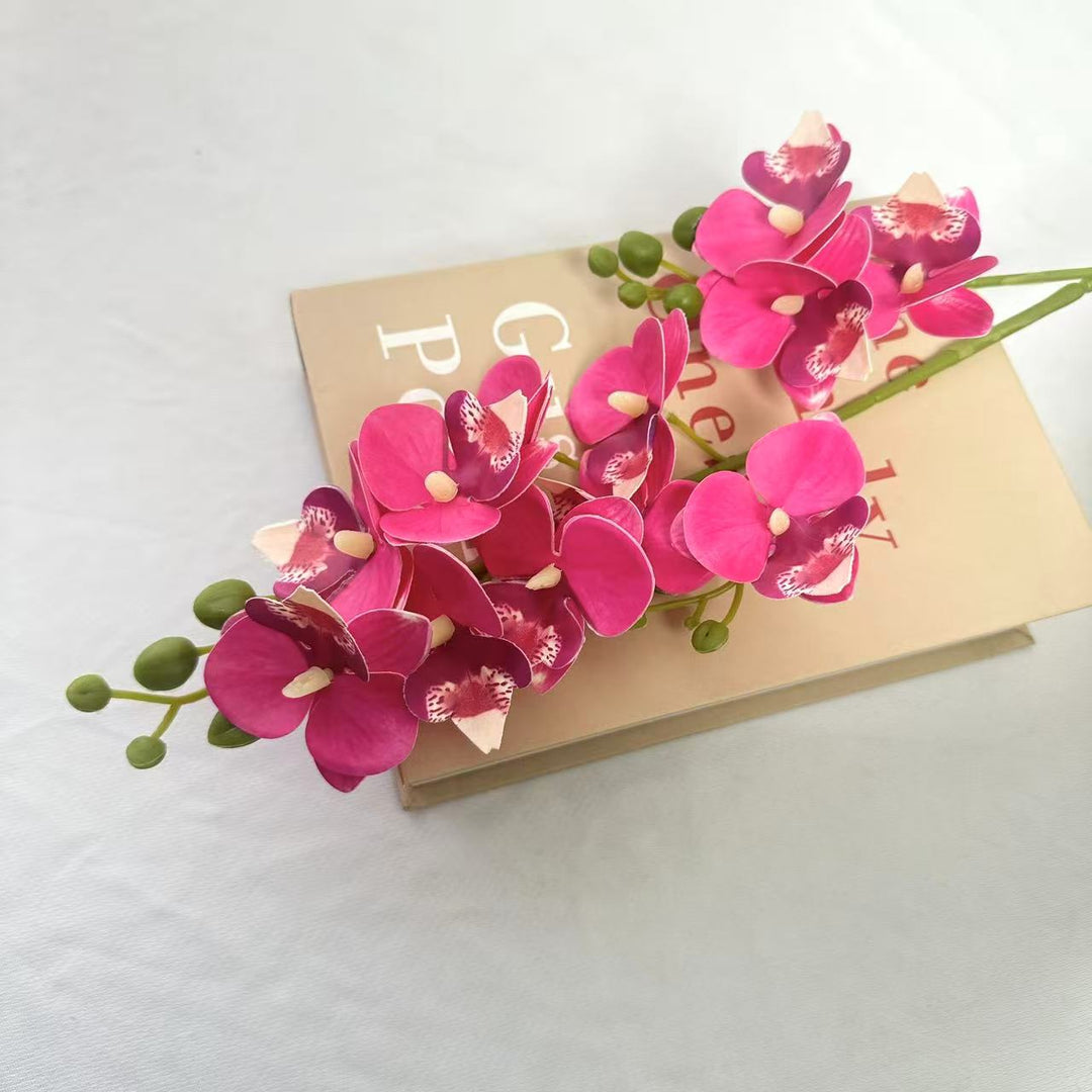 Decorative Orchid for Indoor Home Display