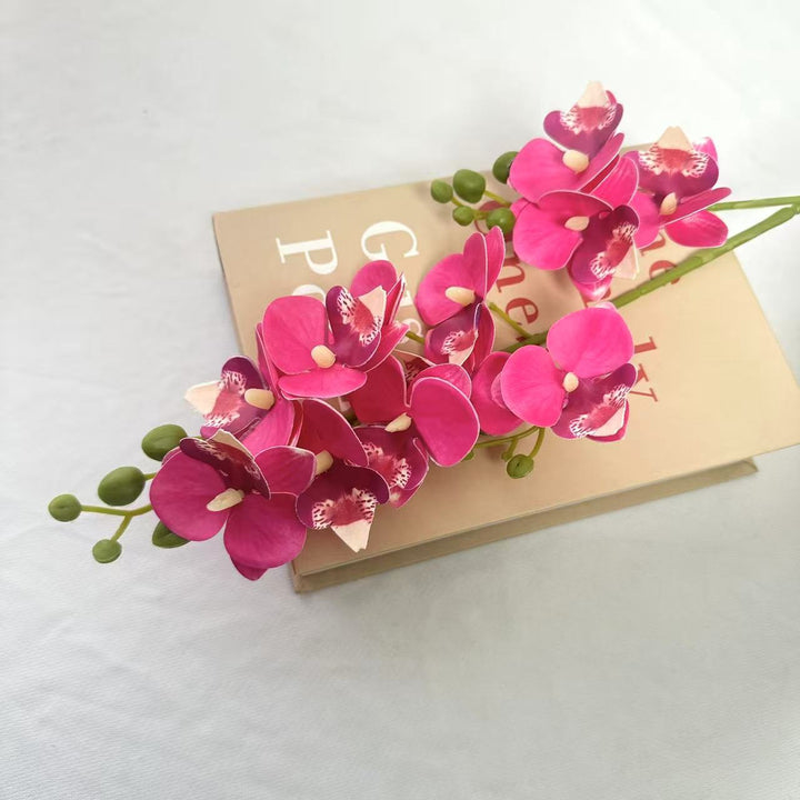 Decorative Orchid for Indoor Home Display