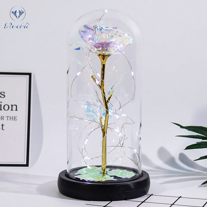 Rose in Glass Dome Display | Stornfield