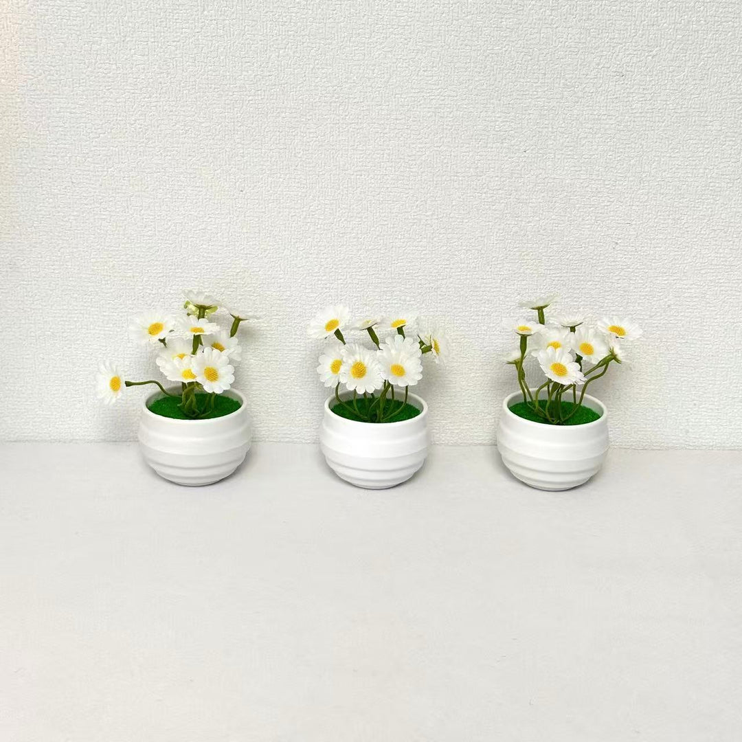 Decorative Miniature Daisy Pots