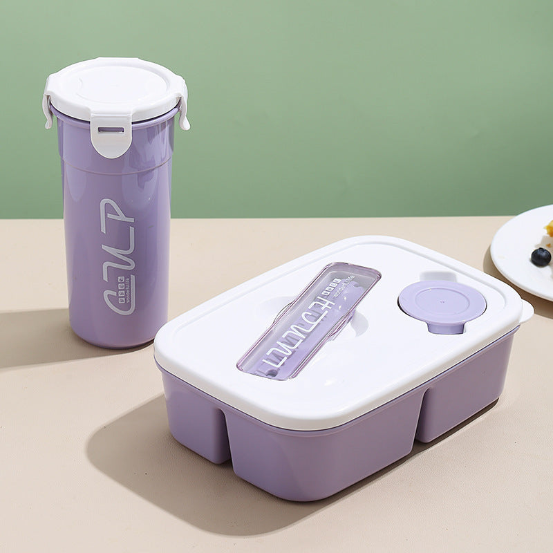 Premium Multi-Section Meal Storage Box