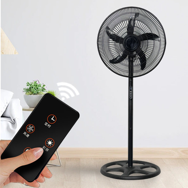 Ladies Stand Fan Stornfield
