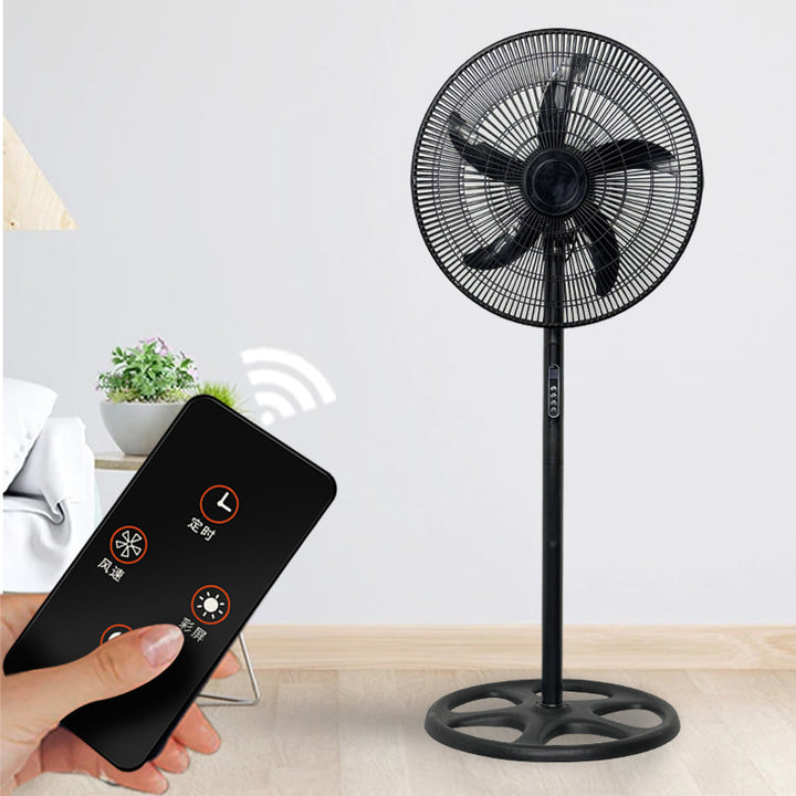 Ladies Stand Fan Stornfield