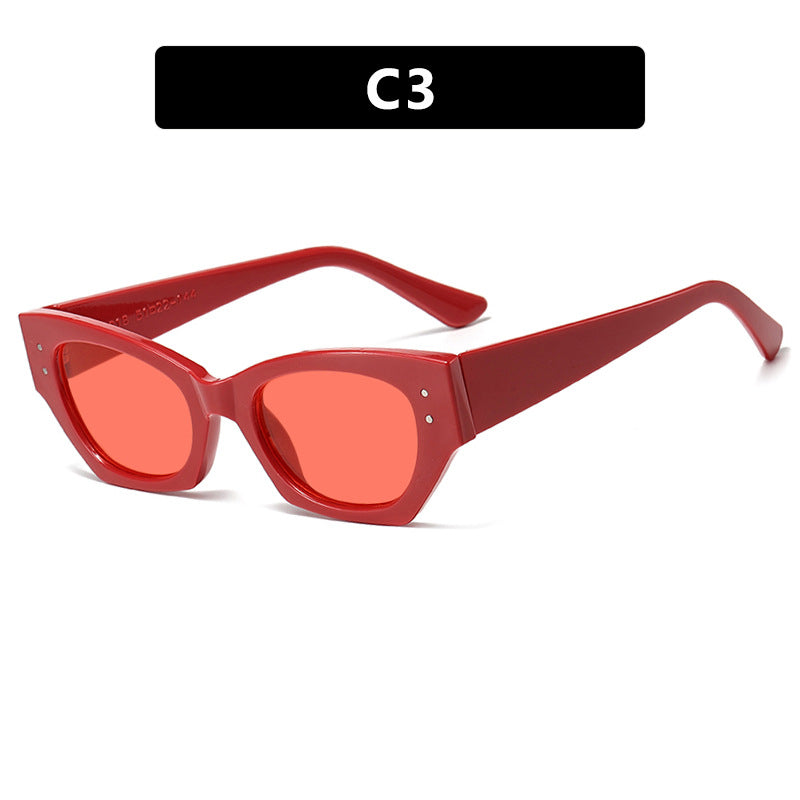 Women's trendy Cat-Eye sunglasses with elegant plastic frame Stornfield