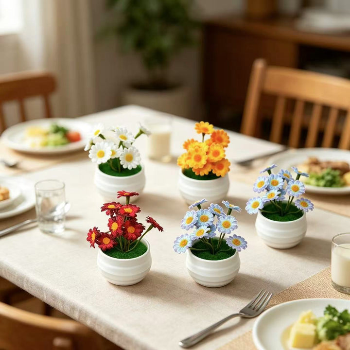 Decorative Daisy Plant Arrangement