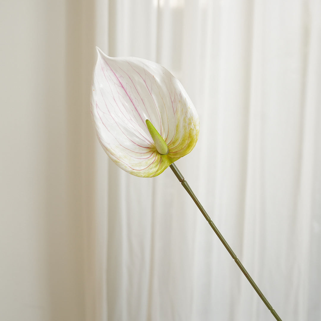 Artificial Anthurium Stornfield