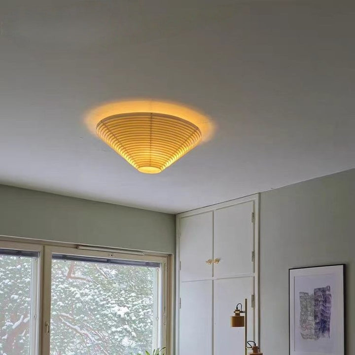 Contemporary Ceiling Light Fixture