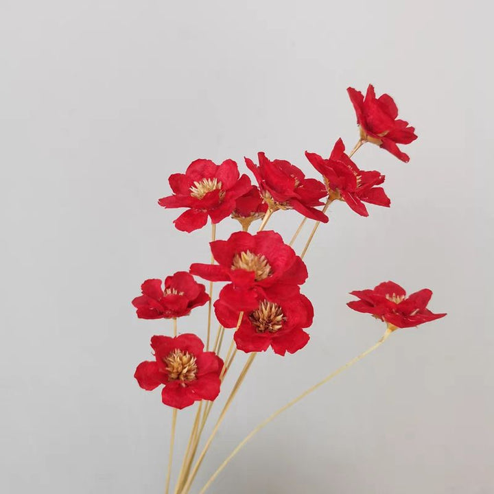 Decorative Dried Flower Bouquet