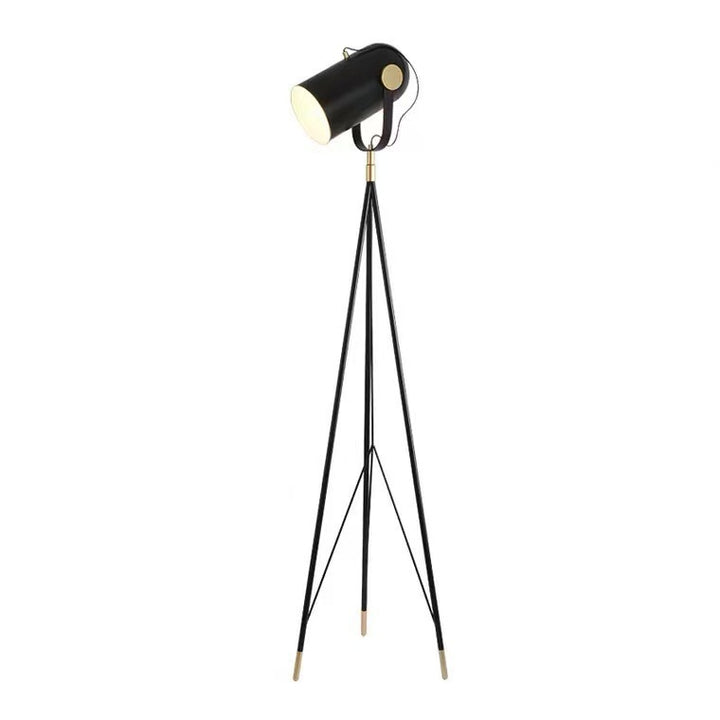 Modern Adjustable Floor Lamp with Tripod Base