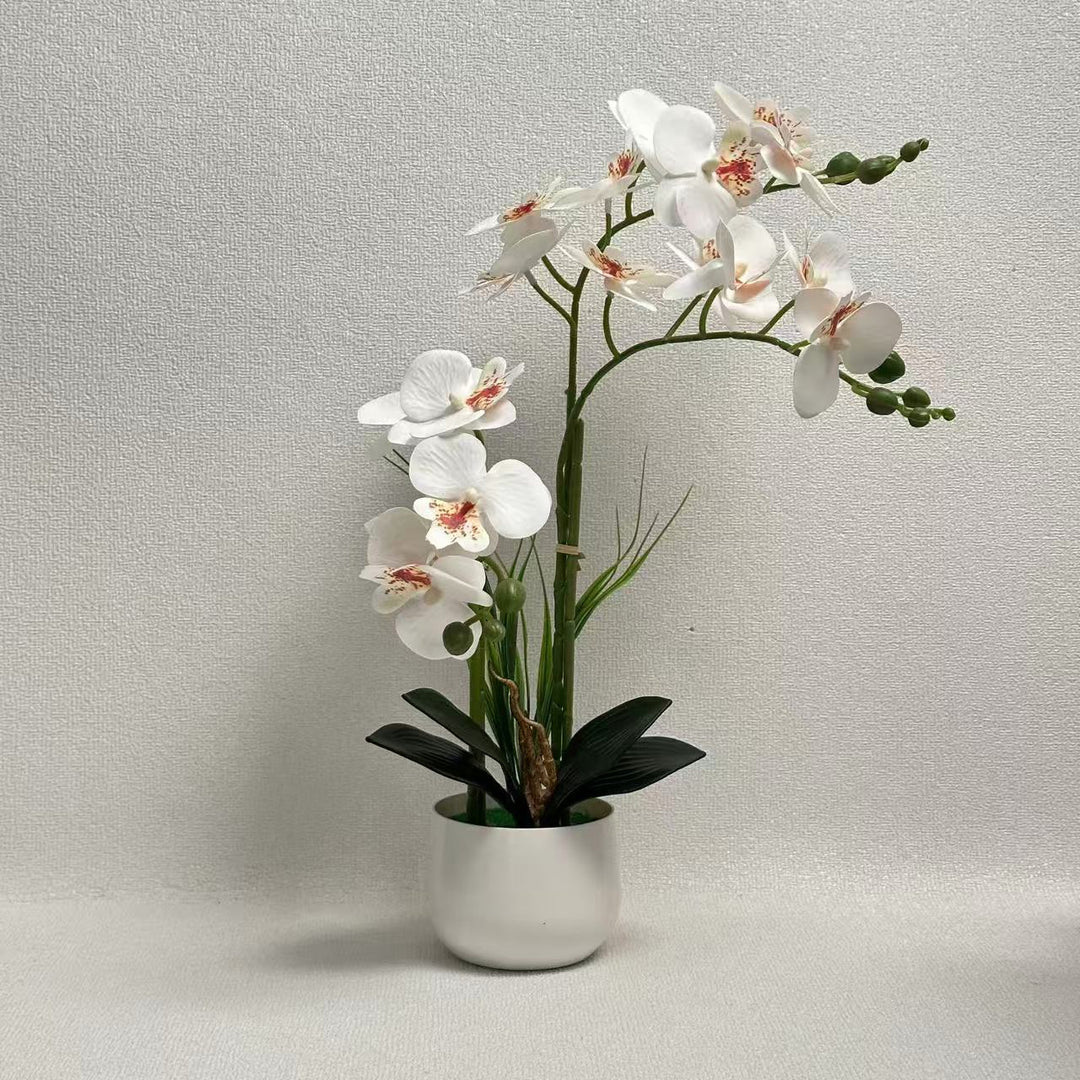 Exquisite Artificial Orchid Display