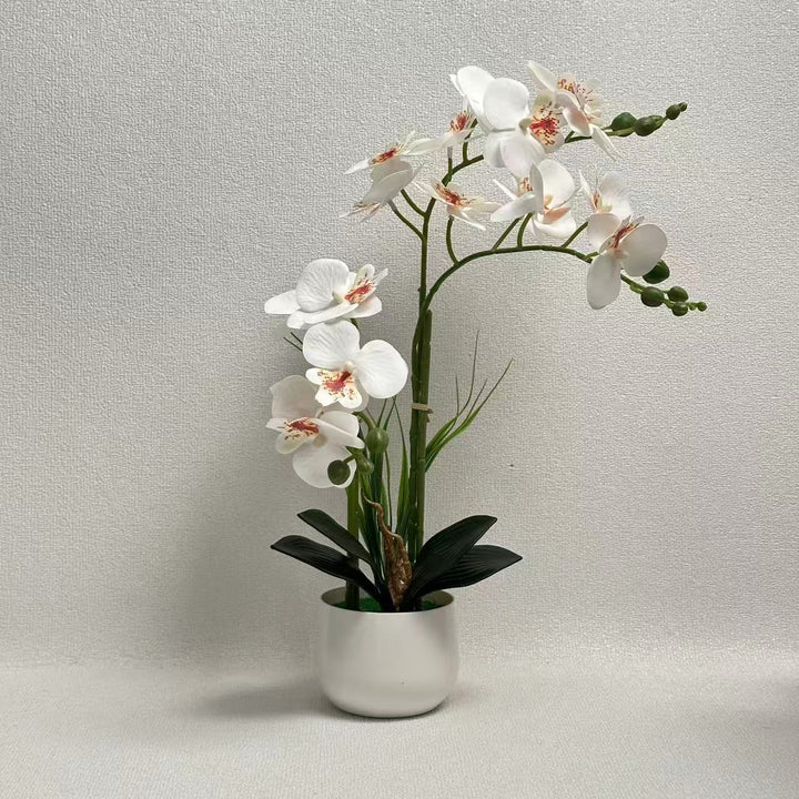 Exquisite Artificial Orchid Display