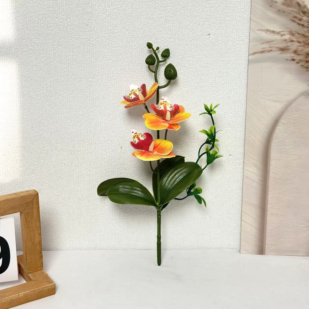 Elegant Orchids Floral Arrangement