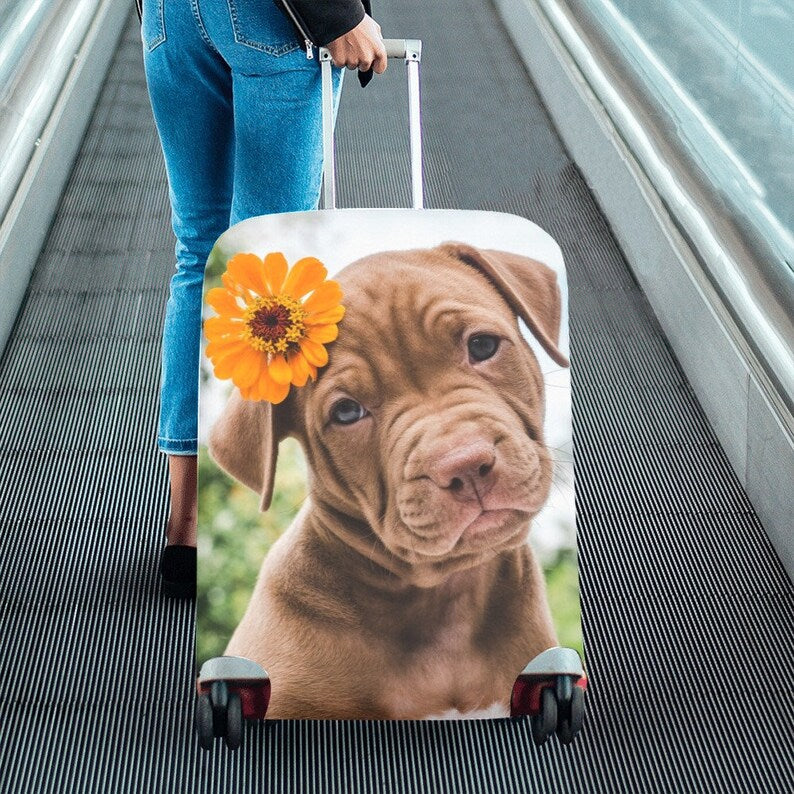 Unisex hard-shell cabin trolley with vintage travel illustration, 360° swivel wheels and telescopic handle Stornfield