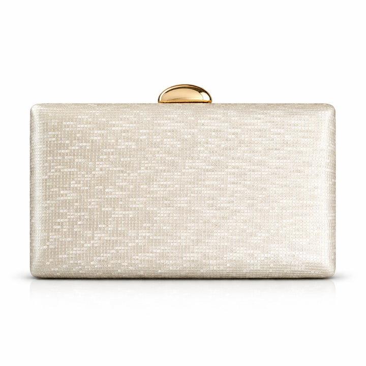 Elegant Evening Clutch