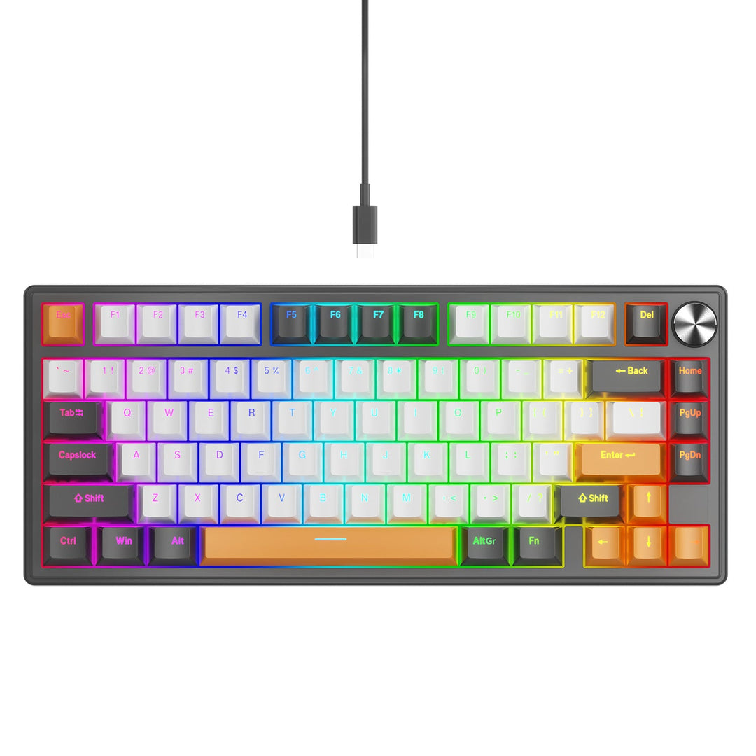 Gasket-Mounted Mechanical Gaming Keyboard with RGB Lighting Features Stornfield