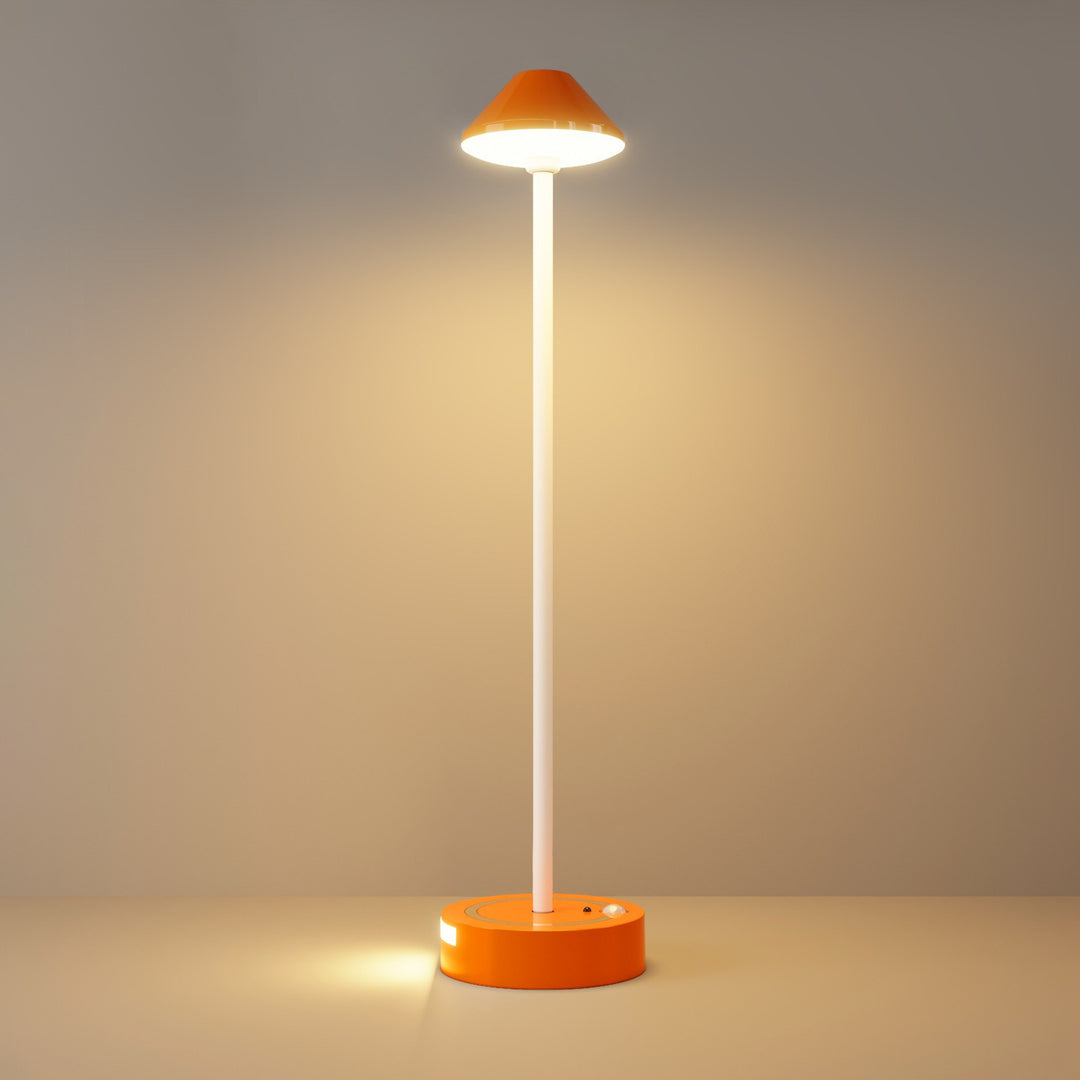 Multi-Functional LED