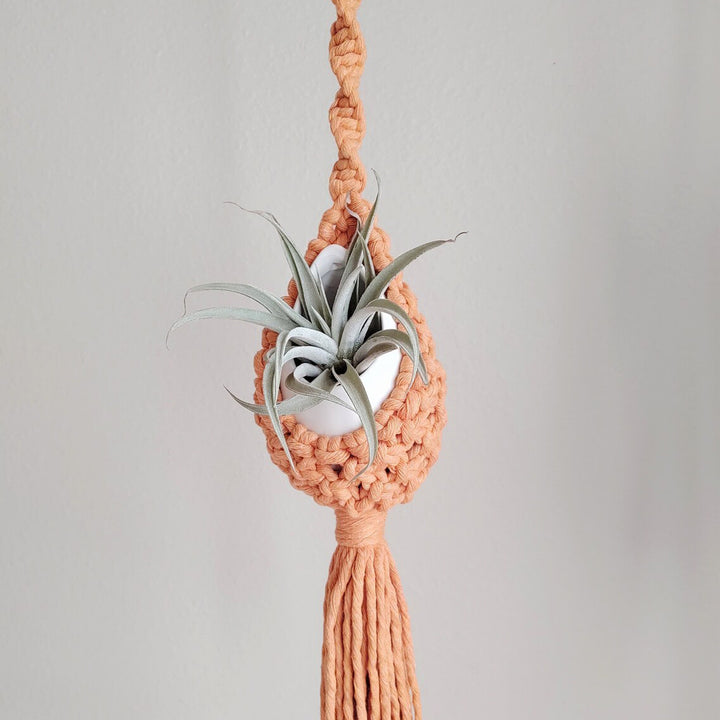 Macrame Hanging Planter Holder Stornfield 1789210891