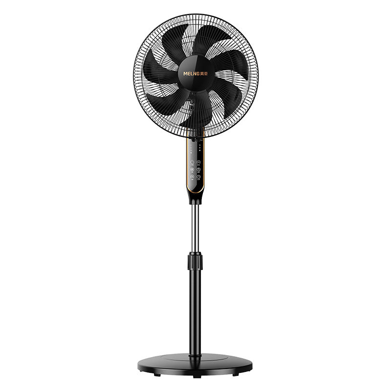 Ladies Stand Fan Stornfield