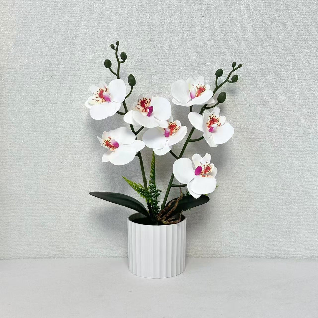 Realistic Orchid Plant Arrangement