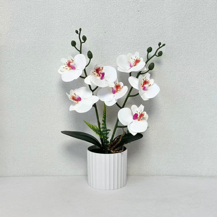 Realistic Orchid Plant Arrangement