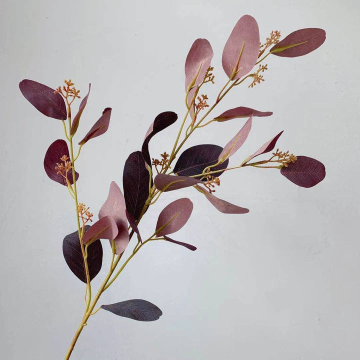 Natural Eucalyptus Stem