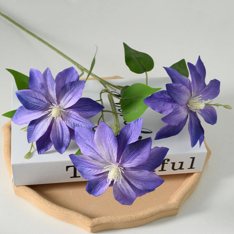 Decorative Floral Clematis Stem