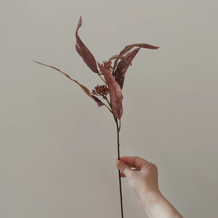Natural Dried Floral Stem