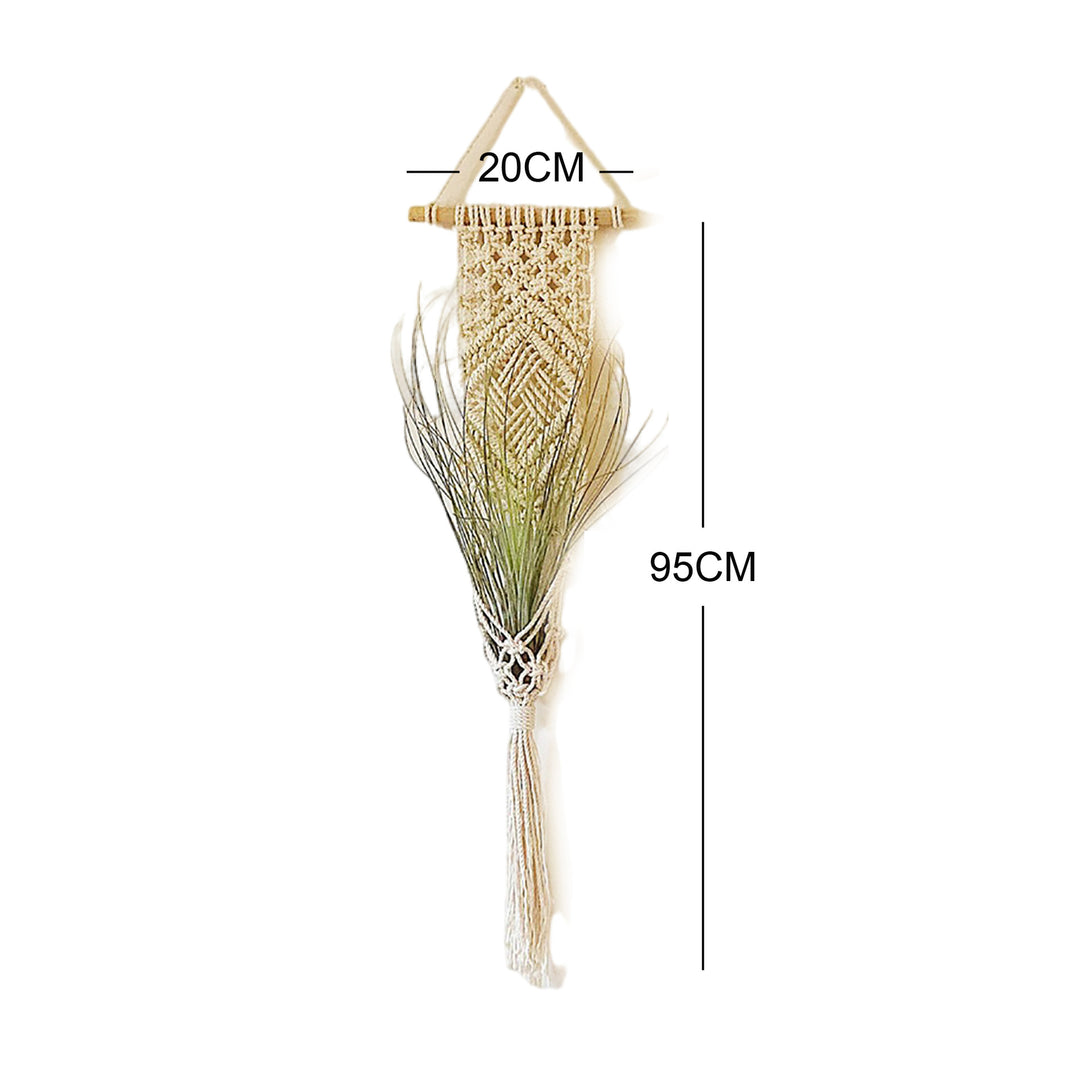 Macrame Wall Hanging Plant Holder Stornfield