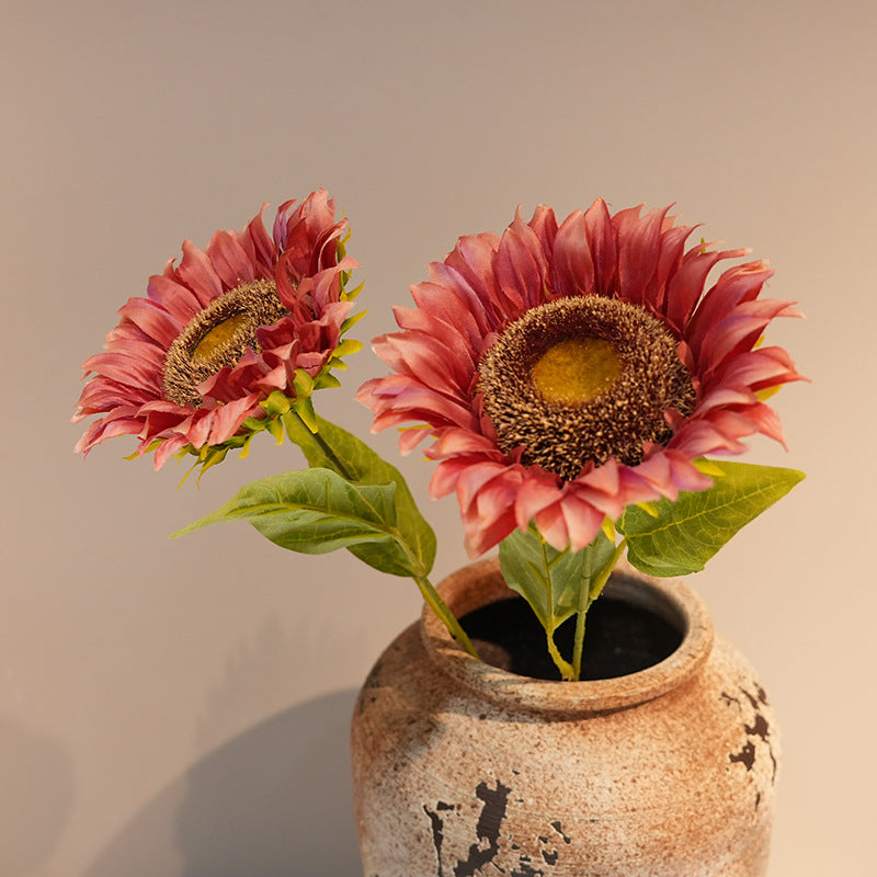 Decorative Plant Stornfield
