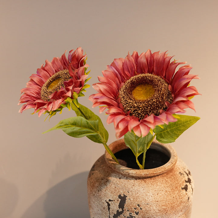 Decorative Plant Stornfield