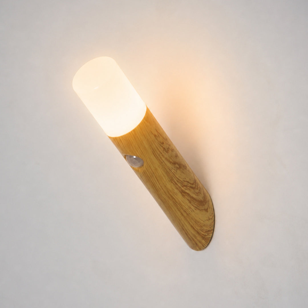 Modern LED Wall Light