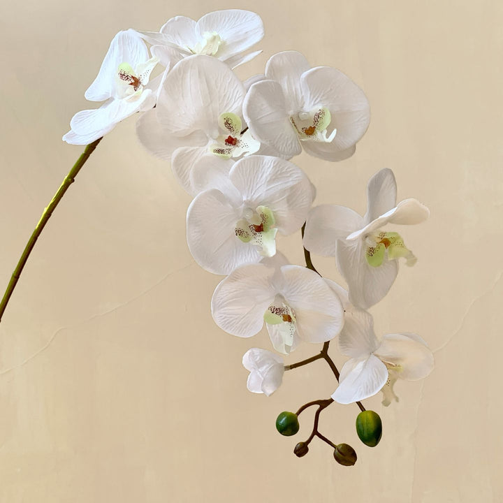 Elegant Artificial Orchid Flower Stem