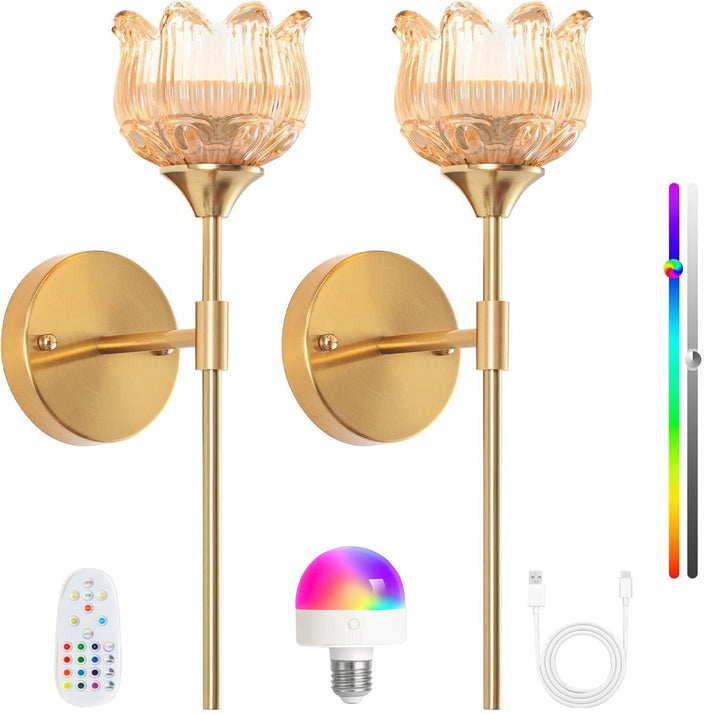 Adjustable Wall Sconce