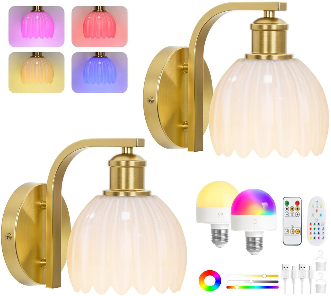 Modern Decorative Wall Sconce